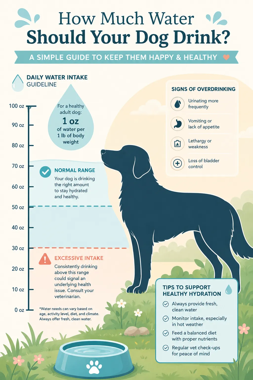 How Much Water Should a Dog Drink Per Day?