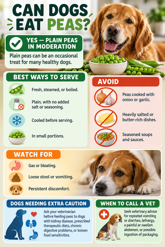 Can Dogs Eat Peas