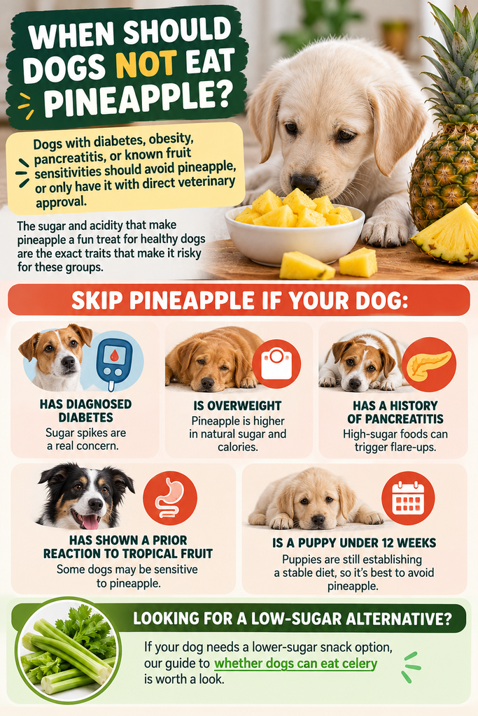 Can Dogs Eat Pineapple