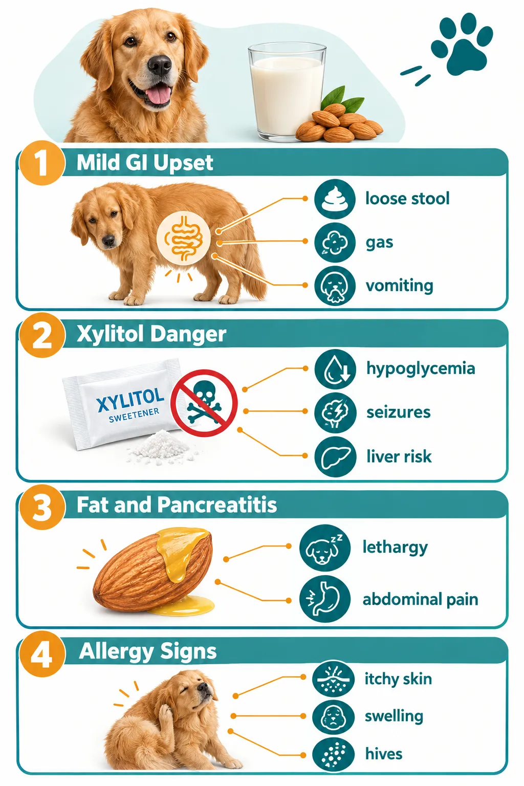 Can Dogs Have Almond Milk? Is Almond Milk Safe for Dogs to Drink?